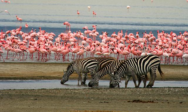 منتزه بحيرة مانيارا الوطنية والسياحة في تنزانيا